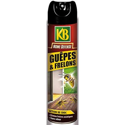 Catch Expert Volants Anti Guêpes & Frelons, Insecticide Huile Action Rapide, 2 x 400ml
