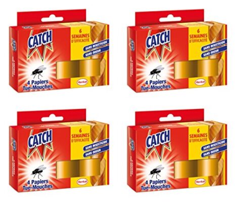 Catch Expert – Papier Tue–mouches – 16 Rouleaux (Lot de 4 x 4 rouleaux) - Inodore - Sans insecticide - jusqu’à 6 semaines d'efficacité - Développé par nos biologistes et chimistes