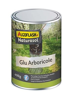 ALGOFLASH NATURASOL Glu arboricole, Avec pinceau applicateur integre, Piege les insectes rampants, Pot 400 g, BIOGLU400A, Vert