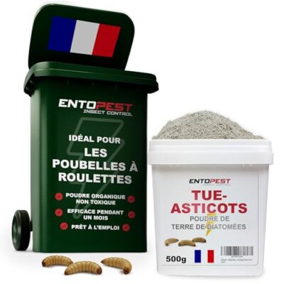 ENTOPEST - 500g de Terre de Diatomée en poudre - Destructeur de fourmis, de puces, d'insectes, de punaises de lit, de lépismes, d'insectes rampants, nuisibles et non-toxiques