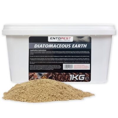 Entopest terre de diatomée en poudre 1 kg, traitement naturel anti-punaises de lit et insectes nuisibles, efficace contre fourmis, puces, lépismes et insectes rampants, utilisation maison et jardin, bio et non toxique