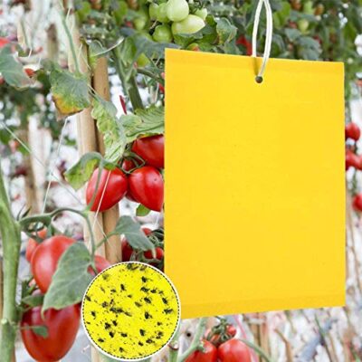 Panngu 50 Pièces Pièges à Insecte, Pieges Collants Double Face, Jaune Papier Anti-Insecte Anti Blanc Feuille de Mouches, Mineur, Mites pour Pot, Jardin et Balcon(15x20cm)