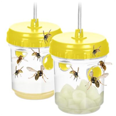 COM-FOUR® 2X Piège à guêpes Vivant – Piège à Insectes Naturel à Suspendre et Poser – Anti-Insectes respectueuse des Animaux pour l'extérieur – Insectes Anti-guêpes (02 pièces - Jaune 13cm)