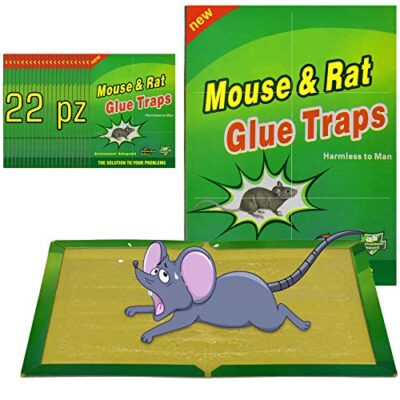 Pièges à souris et rats collants – 22 plaques de colle ultra-adhésives, anti-souris et mulots, efficace en intérieur et extérieur, piège puissant sans poison