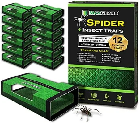 Pièges à araignées MaxGuard – 12 pièges adhésifs non toxiques pour insectes rampants