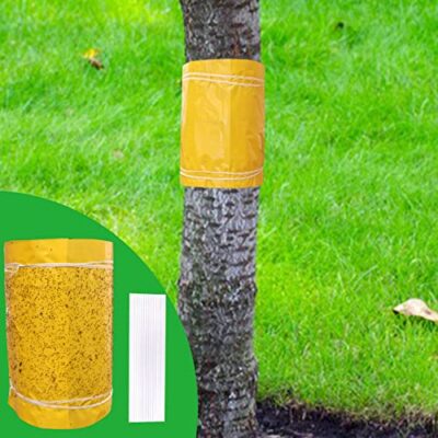 Anneau de colle Panngu anti-fourmis pour arbres fruitiers – bande adhésive 25 cm x 10 m