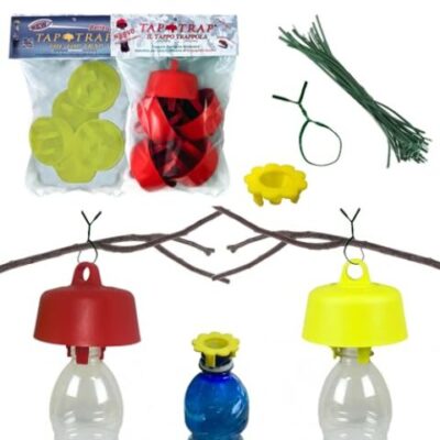 Tap-Trap® Bouchon de bouteille pour piège écologique (Lot de 10)