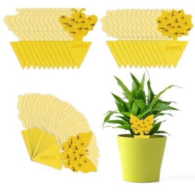 VFANDV Anti Moucherons Plantes Interieur, 60 Pcs Pièges à Insectes Jaune Mouche Double Face Protection des Plantes Fleur Fruits Anti Moucheron Plante