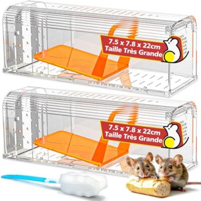 Piège à souris vivant TAKRINK : capture réutilisable sans colle ni poison, lot de 2
