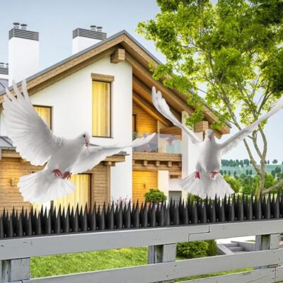 Pic Anti Pigeon 5.7M, Anti Pigeons pour Balcon, Pique Anti Pigeon Plastique, Anti Pigeon, Corbeaux, Chats, Moineaux, ect (20 PCS) Noir