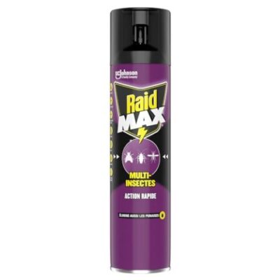 Raid Max - Anti-Cafards - 2 en 1 Action Rapide et Longue Durée - 400 ml