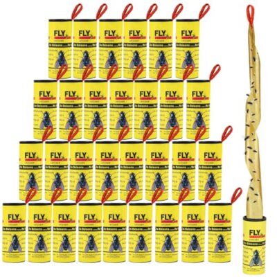 TRIITEC – 30 Rubans Adhésifs Anti-Mouches Intérieur et Extérieur