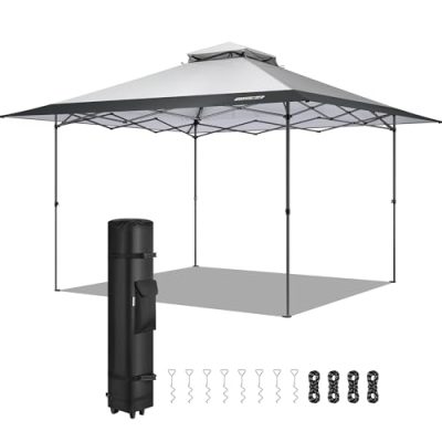 Tente à baldaquin VIVOHOME : abri extérieur portable pour terrasse, jardin et cour