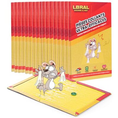 Pièges collants anti-souris et rats – lot de 20 plaques de glu XL pliables