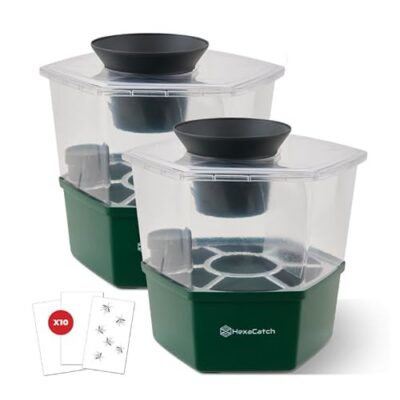 Piège anti-moustiques Hexacatch FAVEX : solution anti-pontes sans électricité, lot de 2