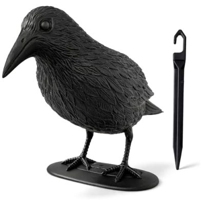 com-four® répulsif Pigeons Corbeau – Corneille en Plastique – effaroucheur pour Balcon, Jardin et terrasse – leurre réaliste avec Socle env. 30 cm (1 pièce - Corbeau Noir)